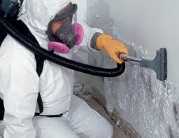 Best Attic Mold Removal  in Crewe, VA